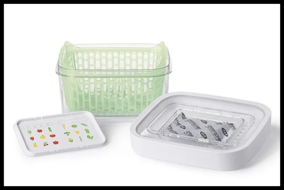 1.6 Quart Greensaver Produce Keeper