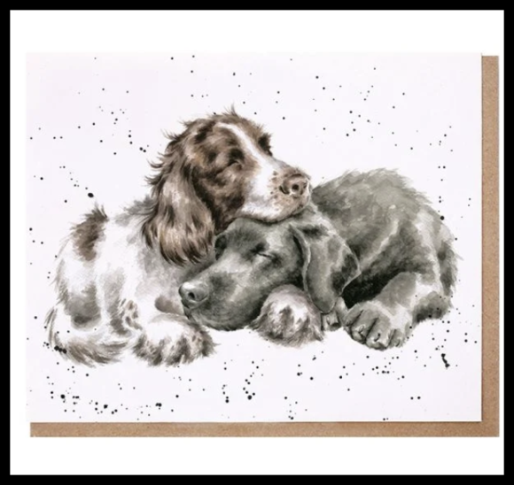 Wrendale Cards