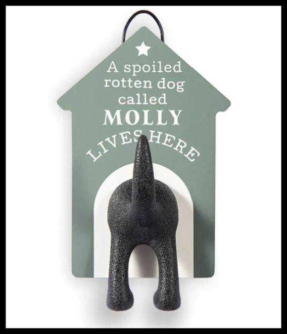 Dog Leash Hook